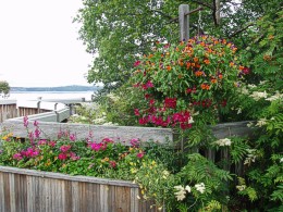 Anchorage-downtown-decoration.jpg