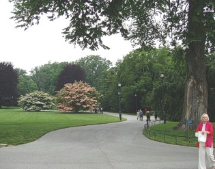 Arboretum3.jpg