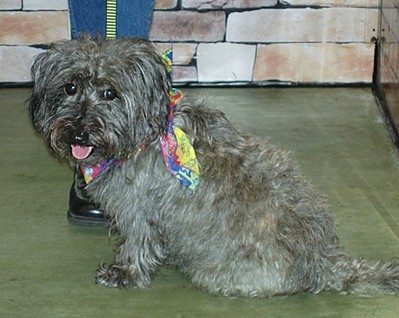 Bailey-sGraduation1.jpg