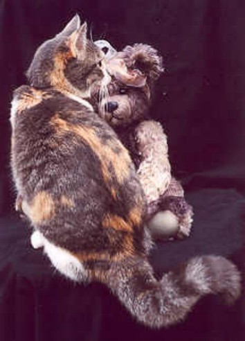 Brindle-and-Abby-1.jpg