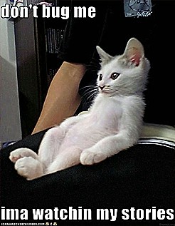 ICHC-don-t-bother-me-watchin-stories.jpg
