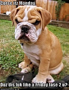 ICHC-it-s-monday-not-friday-face.jpg