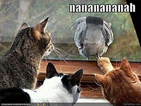 ICHC-nanananananana.jpg