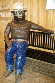 SmokeyBear.jpg