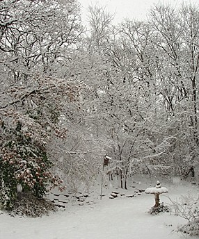 snow-mar.-08-2.jpg