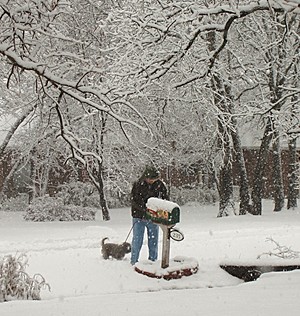 snow-mar.-08-4.jpg