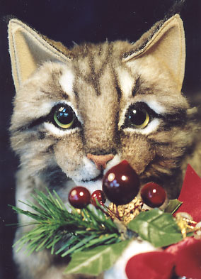 holidaytiger1.jpg