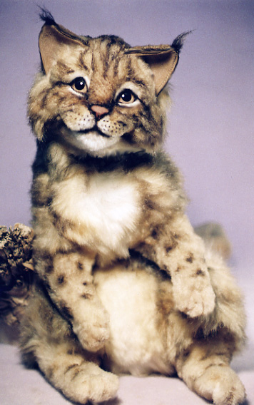 bobcatkj4.jpg