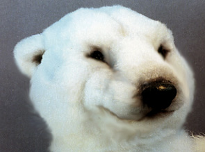 polarbtt.jpg
