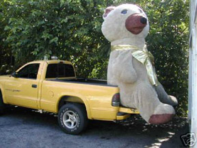 hugebear.jpg