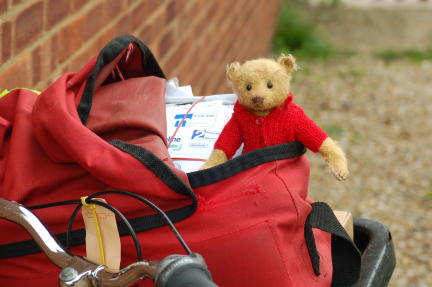 BEARS-FOR-COMP--SITE-030-tt.JPG