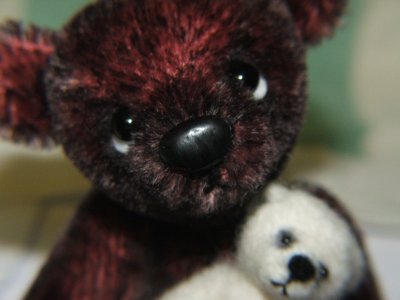 comp_bear_008a.jpg