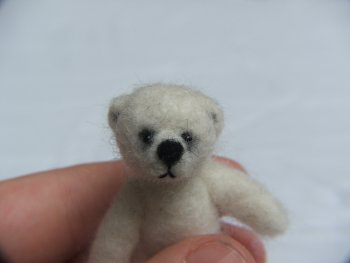 comp_bear_034a.jpg