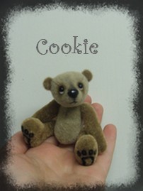 cookie_001website.jpg