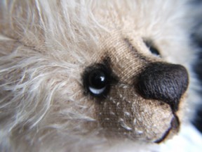 showbears2_007a.jpg