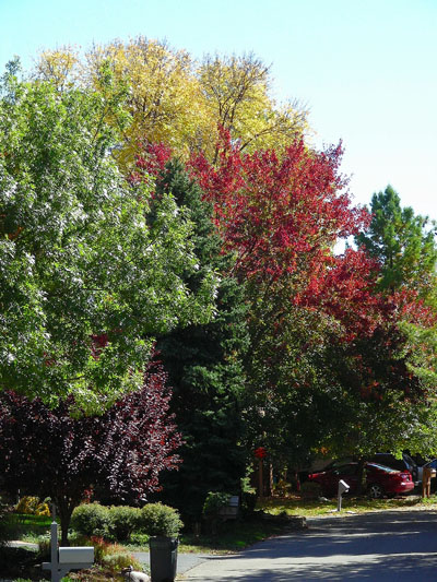 Fall-2006-001-400-pix.jpg