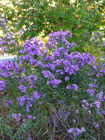 Fall-2006-007-400-pix.jpg