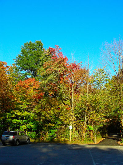 Fall-2006-008-400-pix.jpg