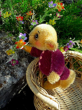 Jerimie-Bear-325-pix.jpg