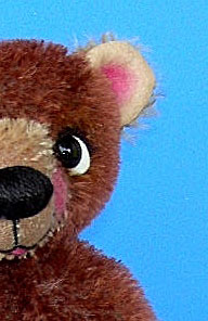 Little-brown-bear-007.jpg