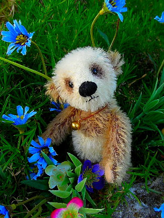 Peter-Panda-325-pix.jpg