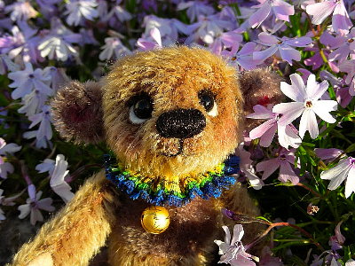 artist-bear400-pix.jpg