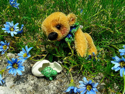 e-bay-timmy-turtle-400pix.jpg