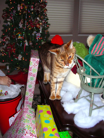 gift-exchange-and-tree-2006-017-400pix.jpg