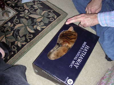 gift-exchange-and-tree-2006-021-400-pix.jpg