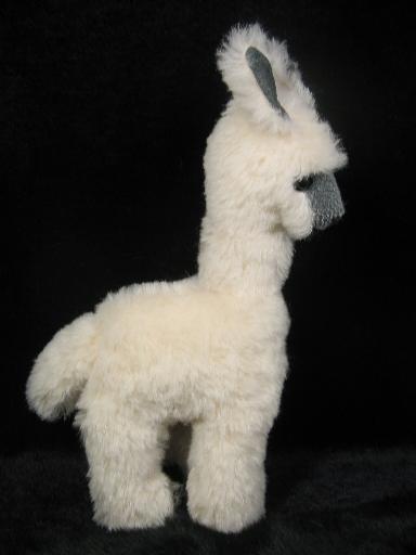 Alpaca50501.jpg