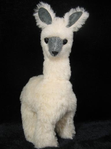 Alpaca50502.jpg