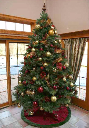 2007tree.jpg