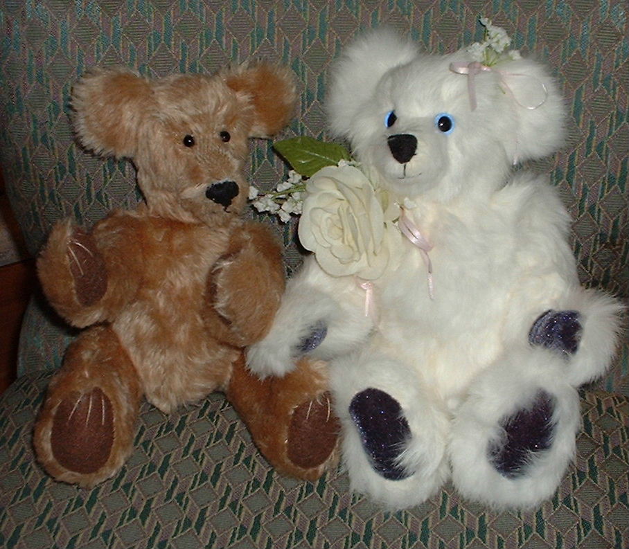 bearpictures.JPG
