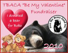 TBACA-ValentineBobo-2010.jpg