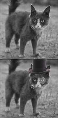 ttsteampunkcat.jpg