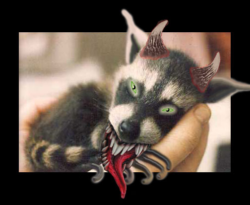 RaccoonSpawnOfSatan2.jpg