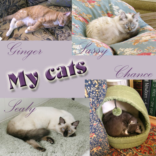 MY-CATS-Sept-2005.jpg