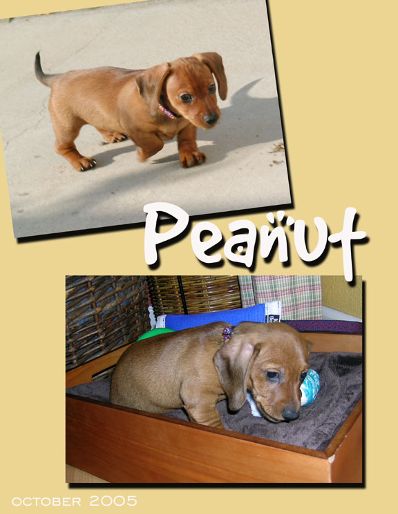 PEANUT-October-2005.jpg