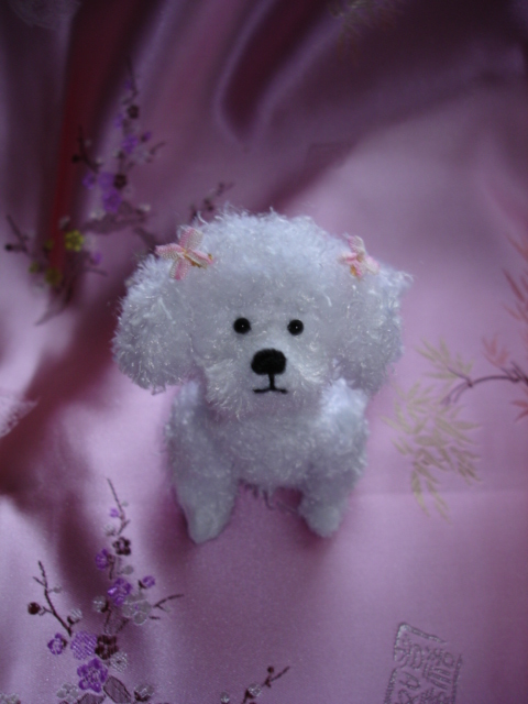 Bichon_Bette....._006.jpg