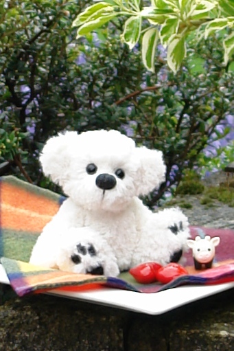 1399309738_ttlambchop1.jpg