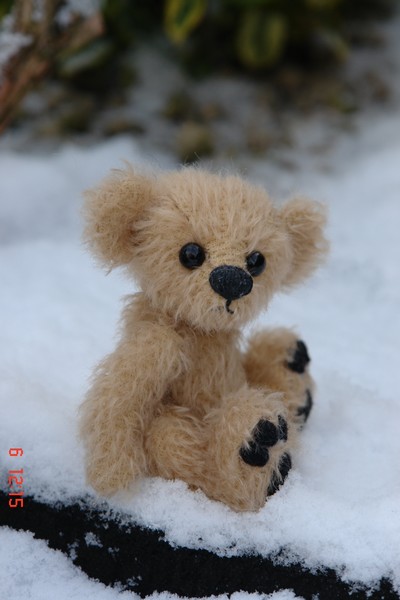 kays-bears-011.JPG