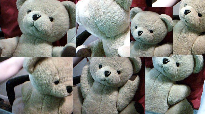 teddy.JPG