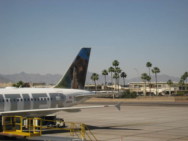 Bear-plane-01.jpg