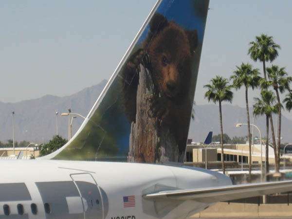 Bear-plane-02.jpg