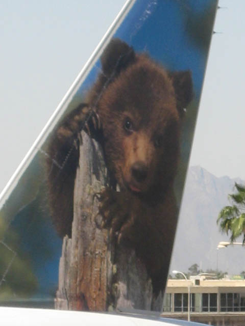 Bear-plane-03.jpg