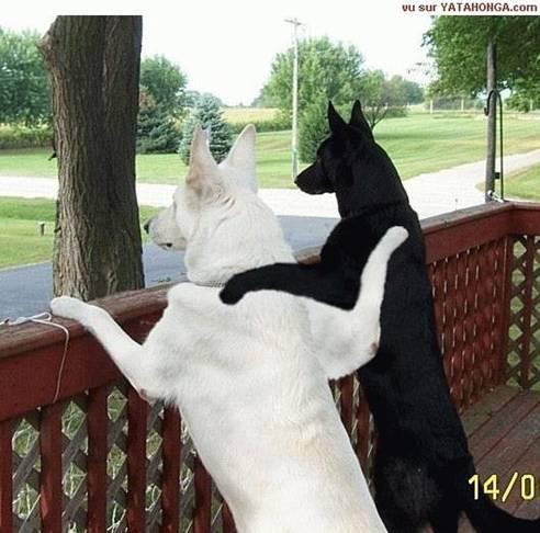 FRIENDS-02.jpg