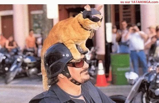 FRIENDS-04.jpg