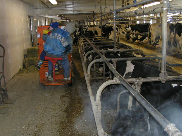 Farm-picE5-1.JPG