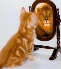 Funny_catLionMirror.jpg