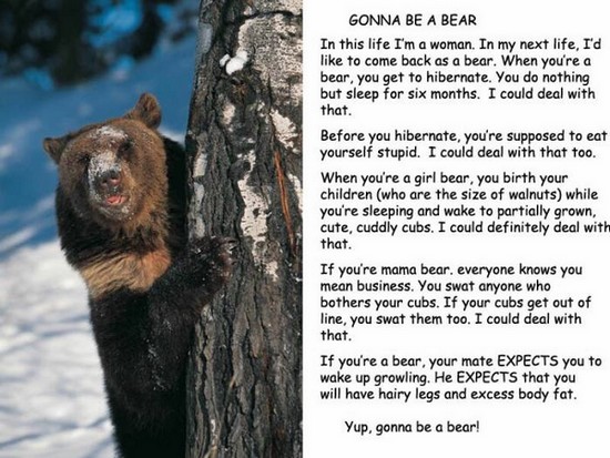 Gonna-be-a-bear.jpg